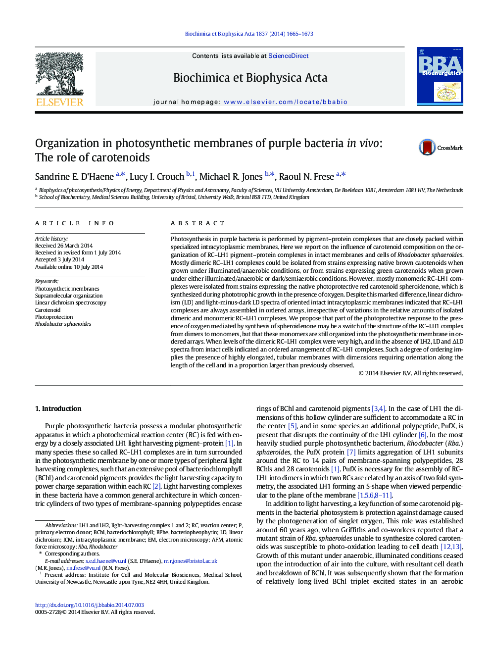 Organization in photosynthetic membranes of purple bacteria in vivo: The role of carotenoids