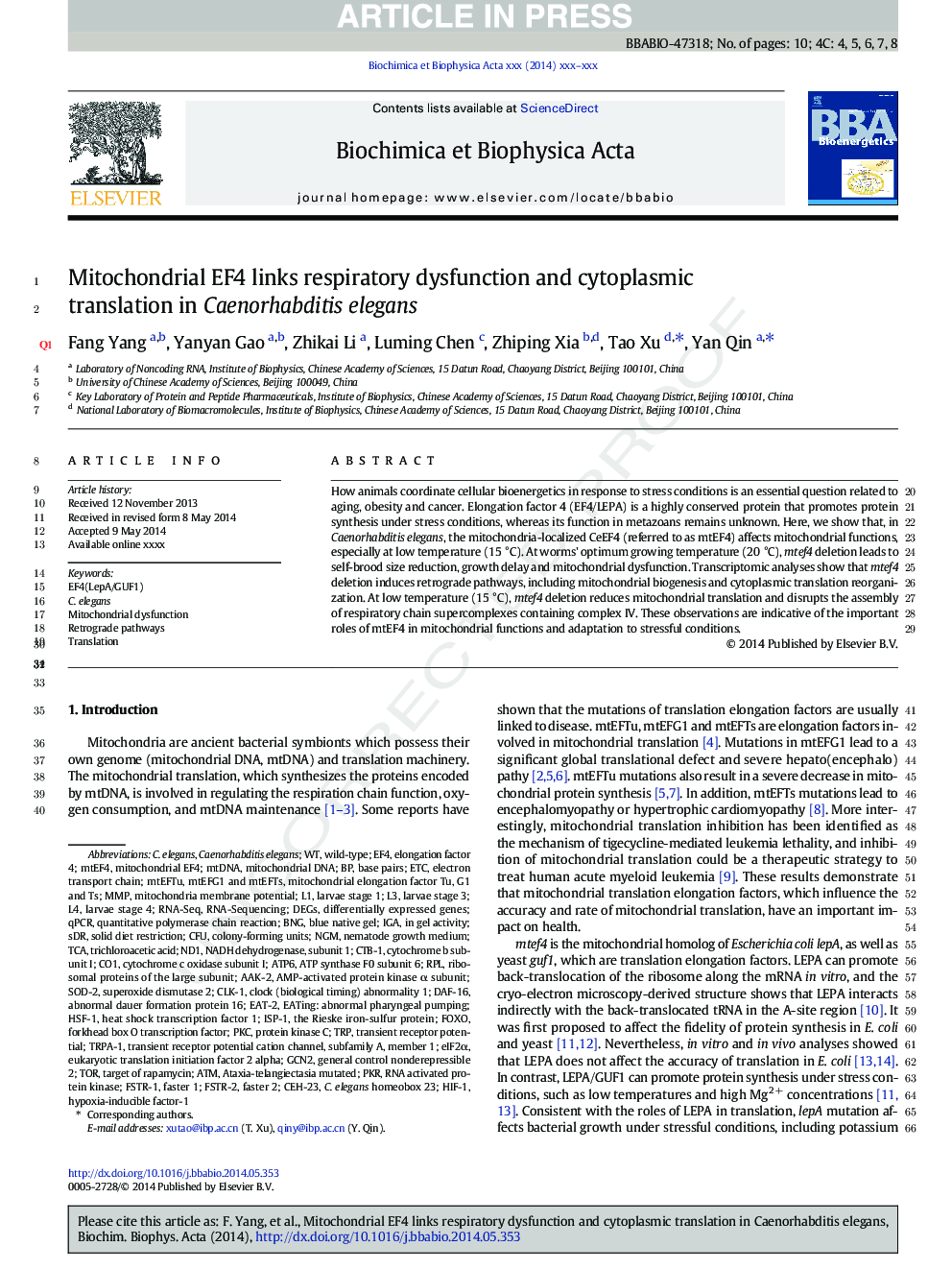 Mitochondrial EF4 links respiratory dysfunction and cytoplasmic translation in Caenorhabditis elegans