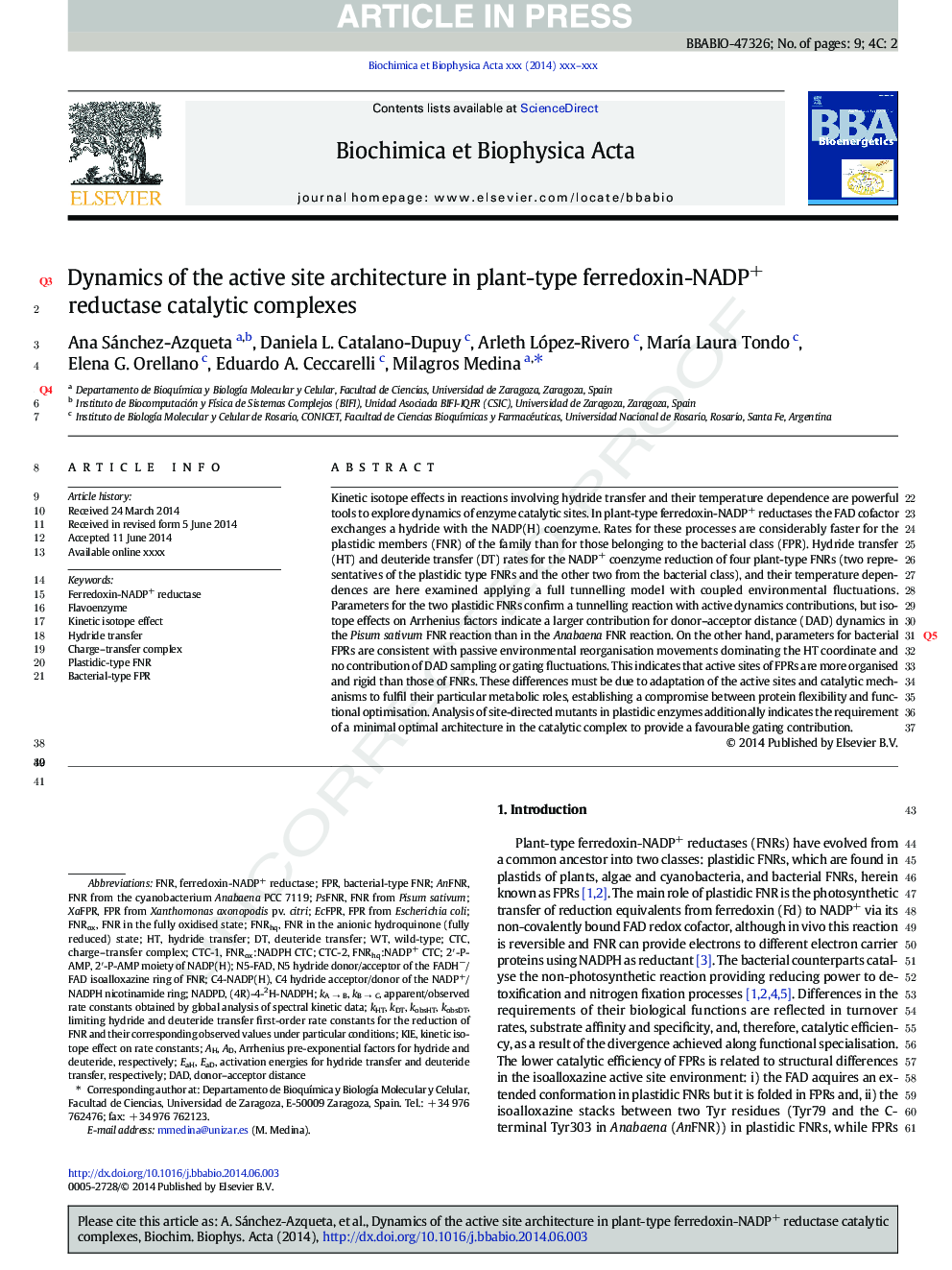 Dynamics of the active site architecture in plant-type ferredoxin-NADP+ reductases catalytic complexes