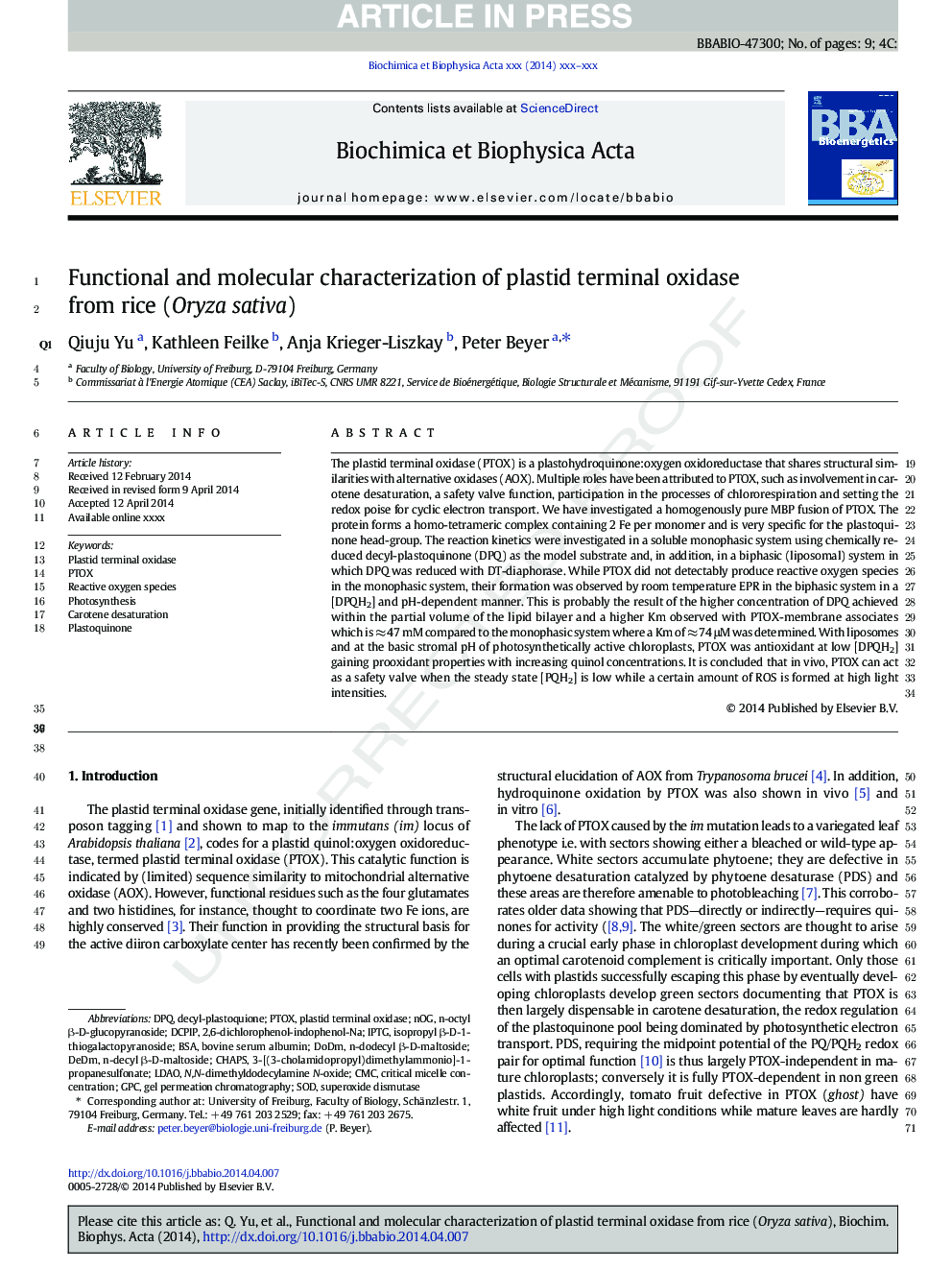 Functional and molecular characterization of plastid terminal oxidase from rice (Oryza sativa)