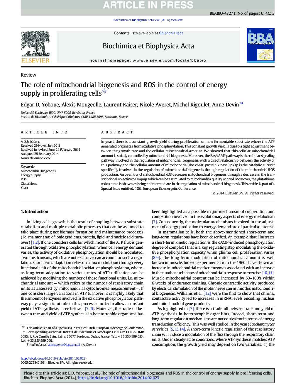 The role of mitochondrial biogenesis and ROS in the control of energy supply in proliferating cells