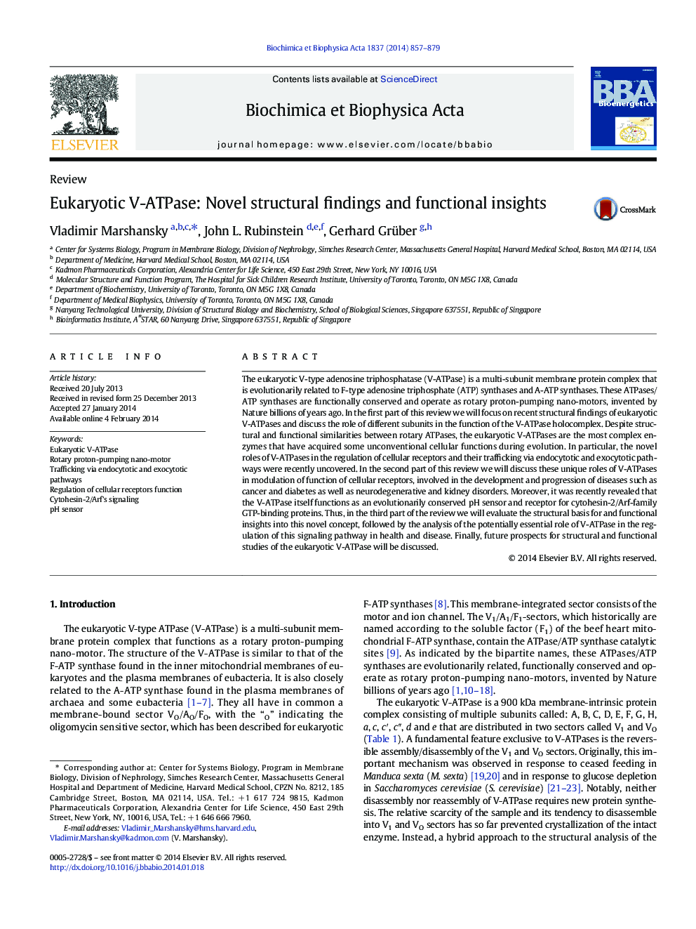 Eukaryotic V-ATPase: Novel structural findings and functional insights