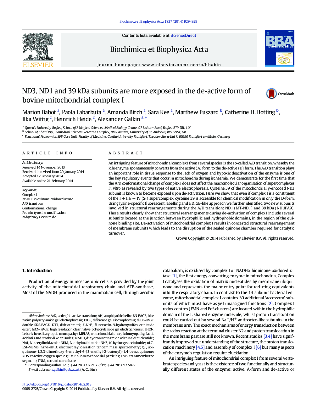 ND3, ND1 and 39Â kDa subunits are more exposed in the de-active form of bovine mitochondrial complex I