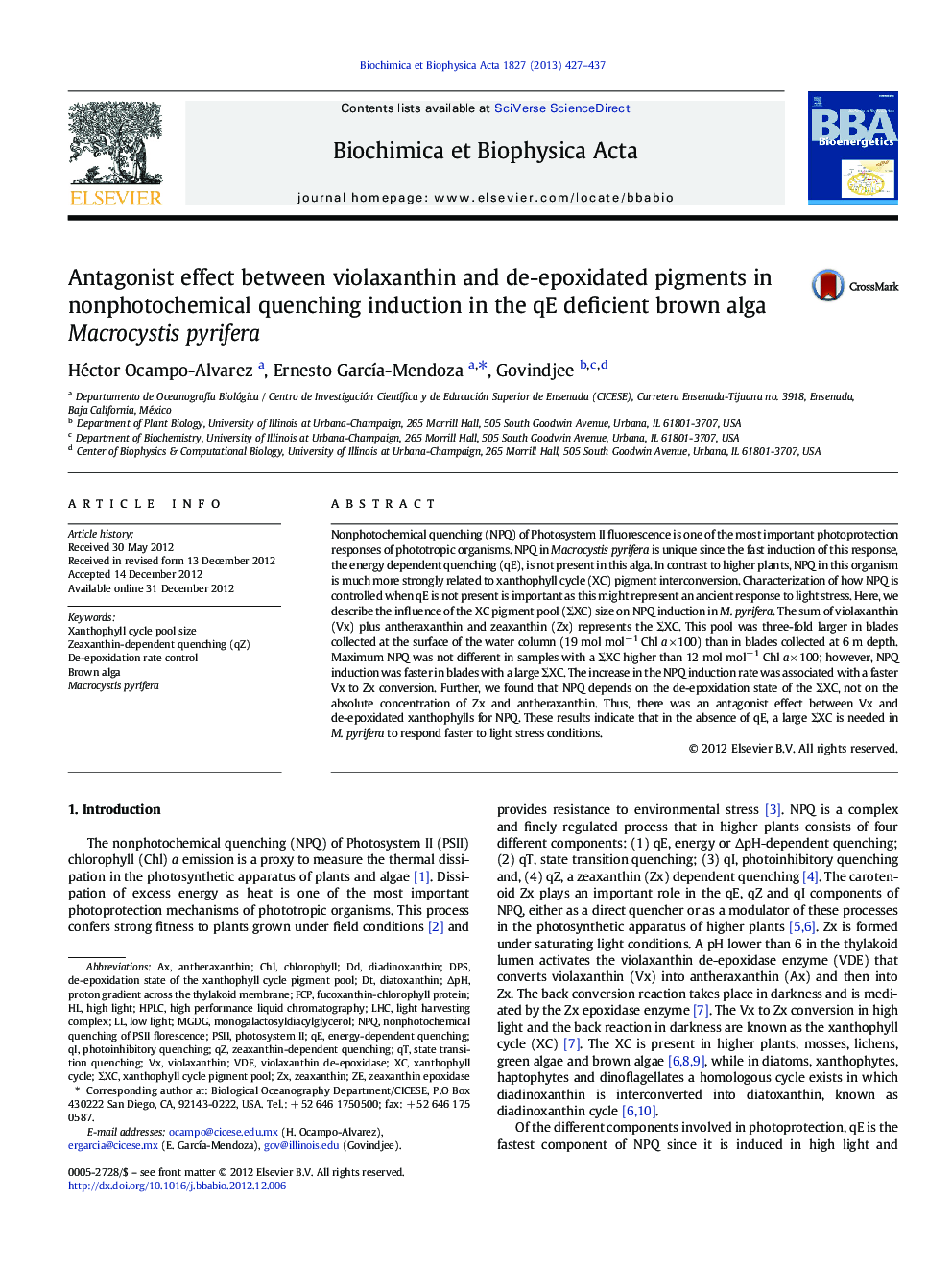 Antagonist effect between violaxanthin and de-epoxidated pigments in nonphotochemical quenching induction in the qE deficient brown alga Macrocystis pyrifera