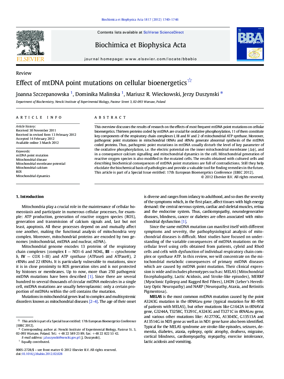 Effect of mtDNA point mutations on cellular bioenergetics