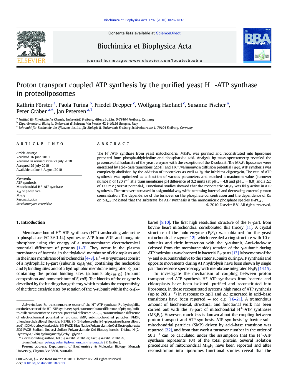 Proton transport coupled ATP synthesis by the purified yeast H+-ATP synthase in proteoliposomes