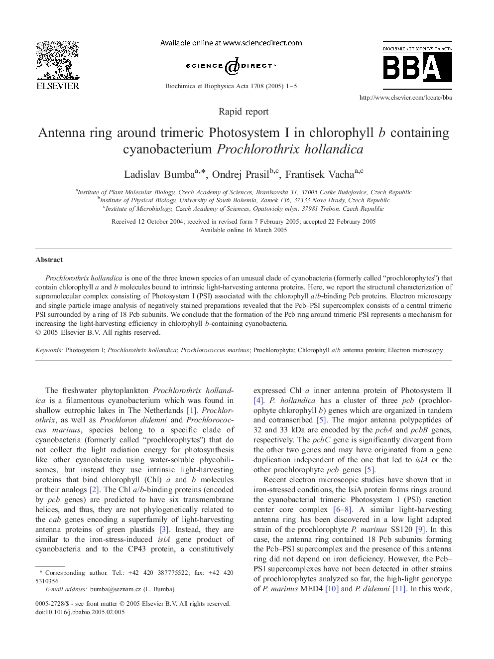 Antenna ring around trimeric Photosystem I in chlorophyll b containing cyanobacterium Prochlorothrix hollandica