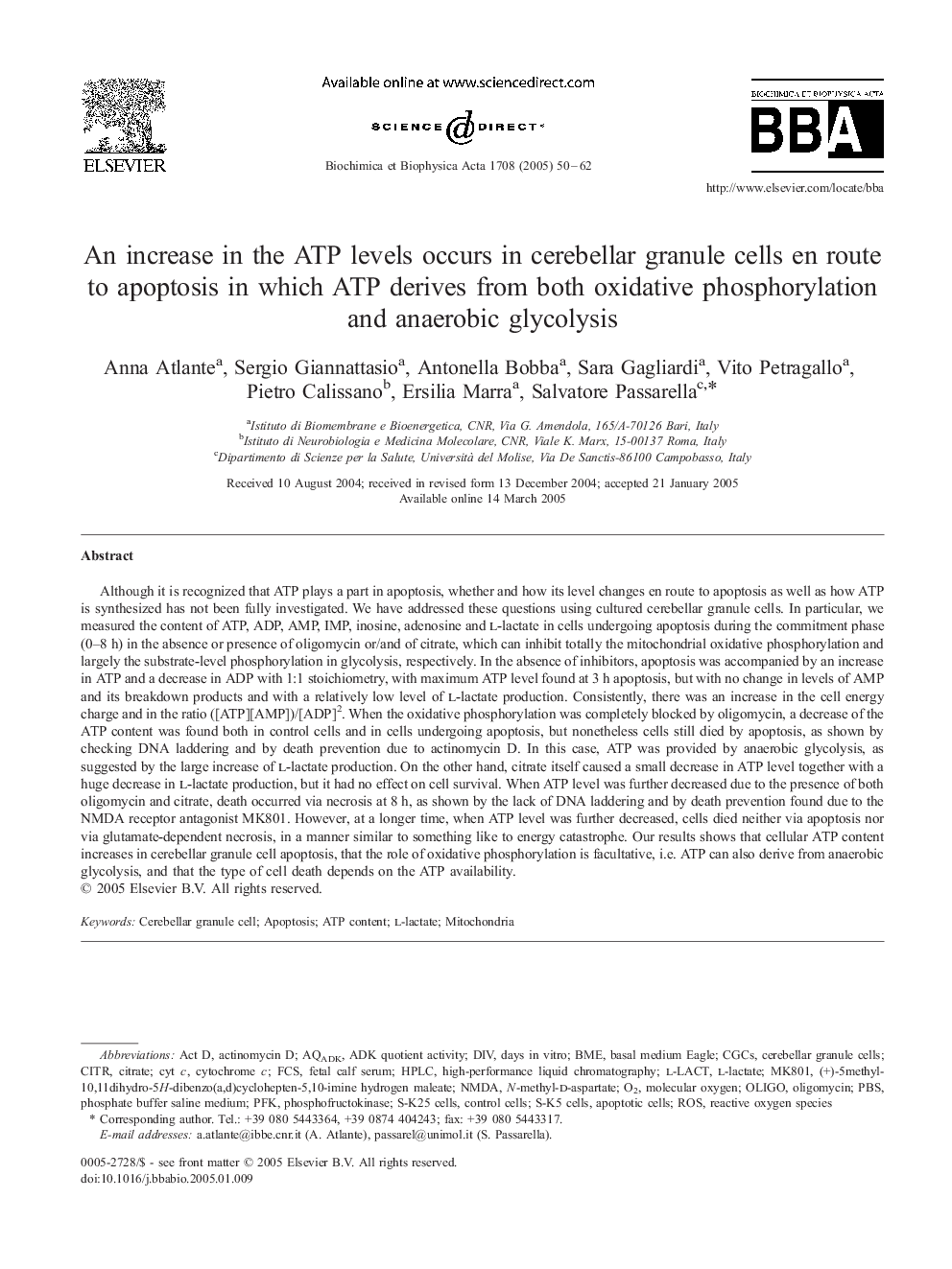 An increase in the ATP levels occurs in cerebellar granule cells en route to apoptosis in which ATP derives from both oxidative phosphorylation and anaerobic glycolysis