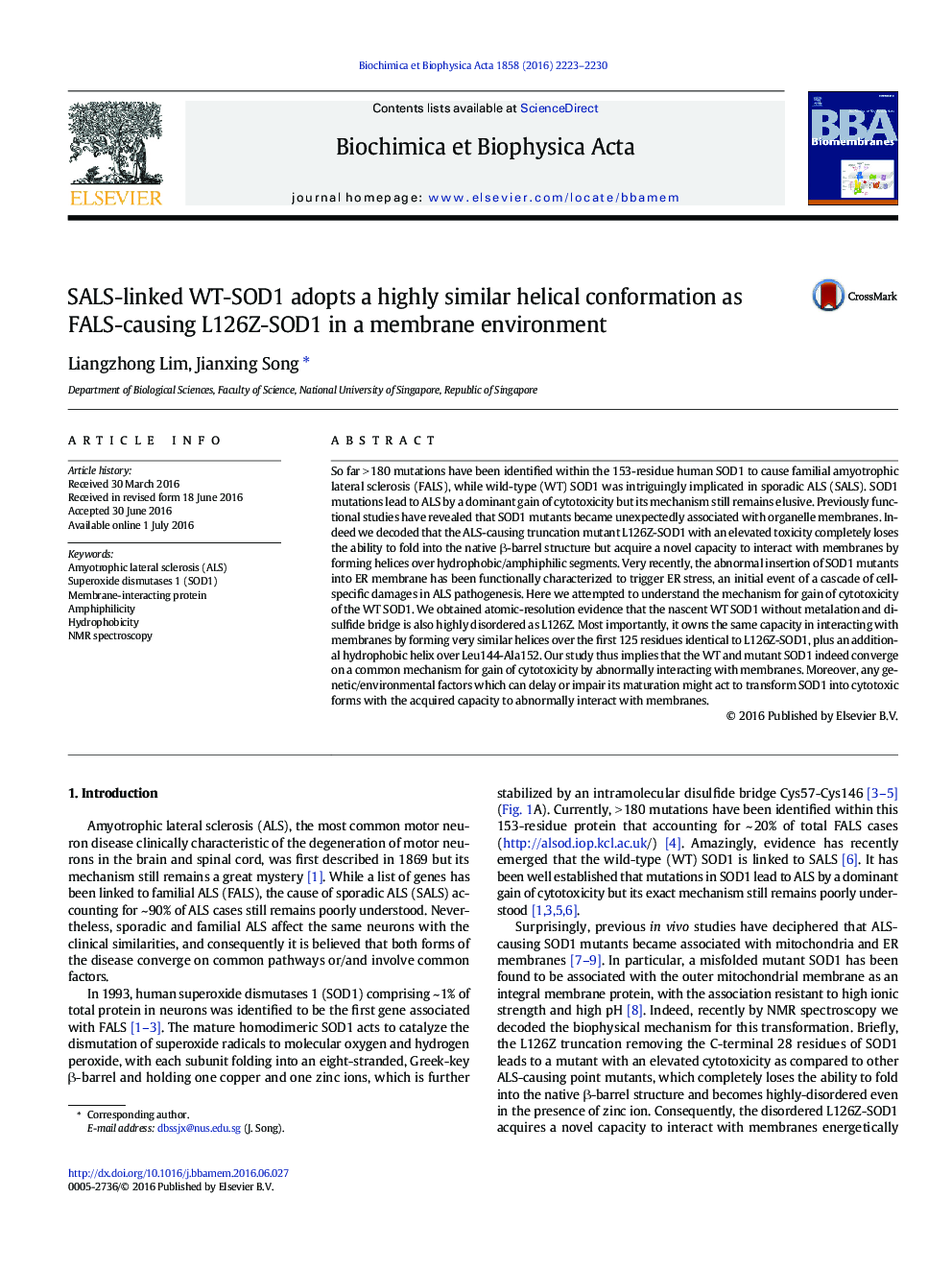 SALS-linked WT-SOD1 adopts a highly similar helical conformation as FALS-causing L126Z-SOD1 in a membrane environment