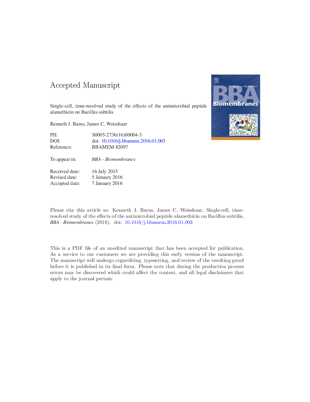 Single-cell, time-resolved study of the effects of the antimicrobial peptide alamethicin on Bacillus subtilis