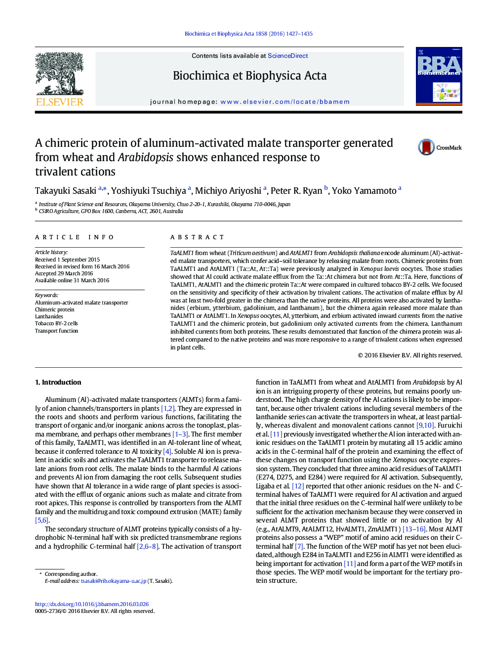 A chimeric protein of aluminum-activated malate transporter generated from wheat and Arabidopsis shows enhanced response to trivalent cations