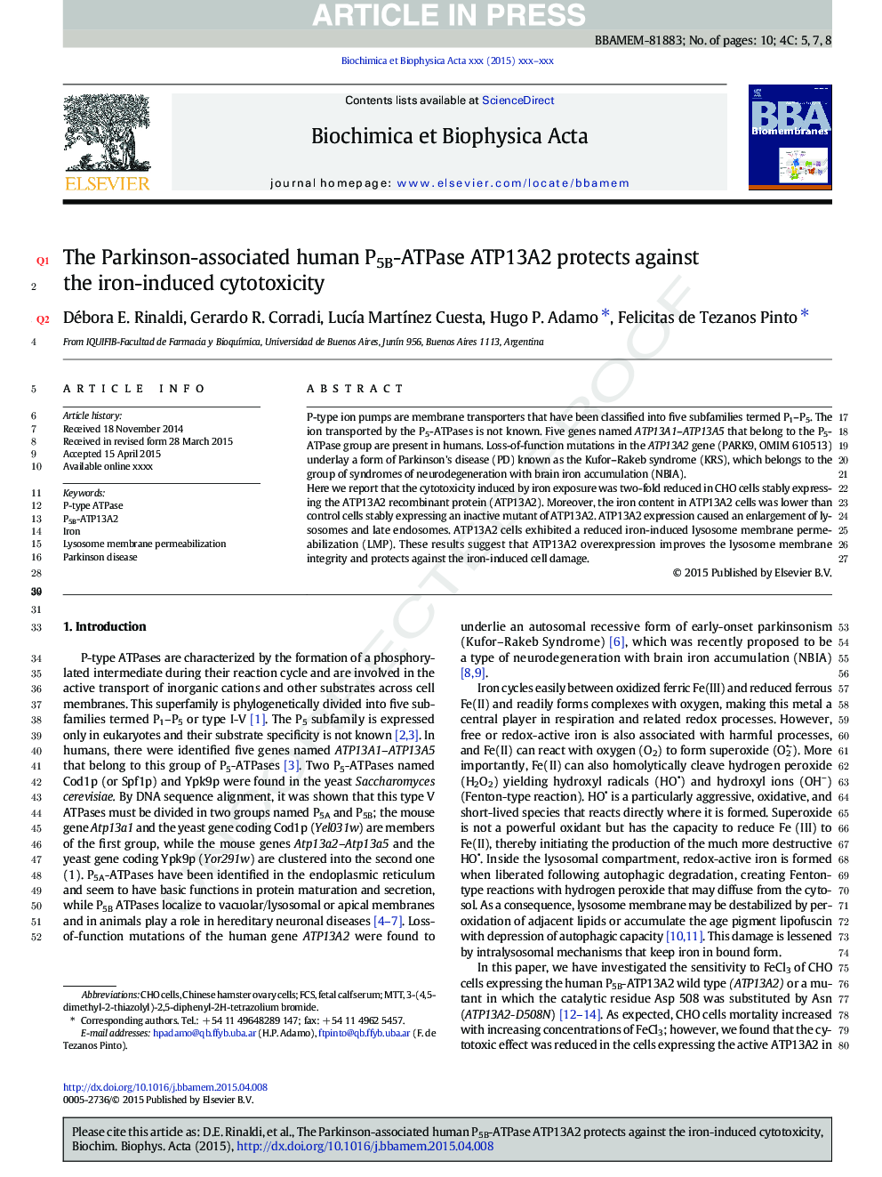 The Parkinson-associated human P5B-ATPase ATP13A2 protects against the iron-induced cytotoxicity