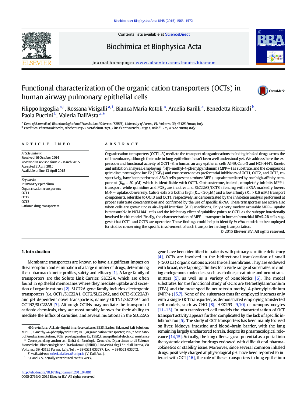 Functional characterization of the organic cation transporters (OCTs) in human airway pulmonary epithelial cells