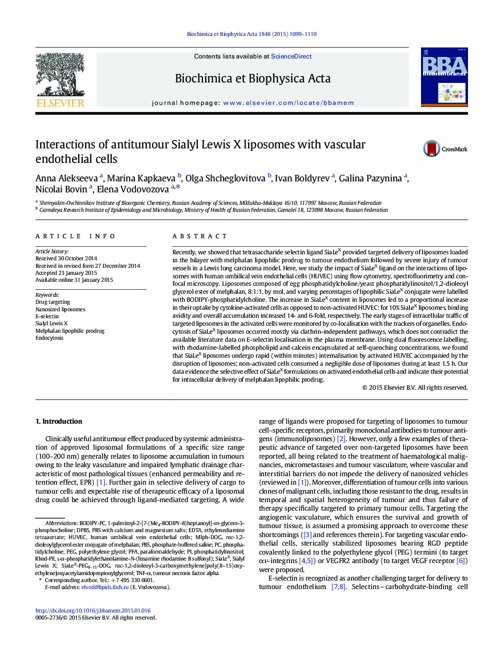 Interactions of antitumour Sialyl Lewis X liposomes with vascular endothelial cells