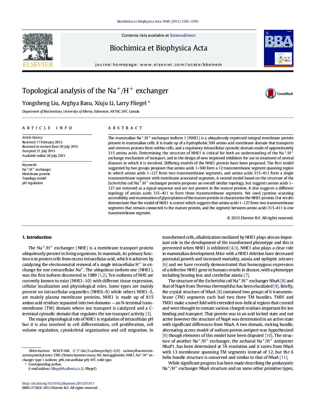 Topological analysis of the Na+/H+ exchanger