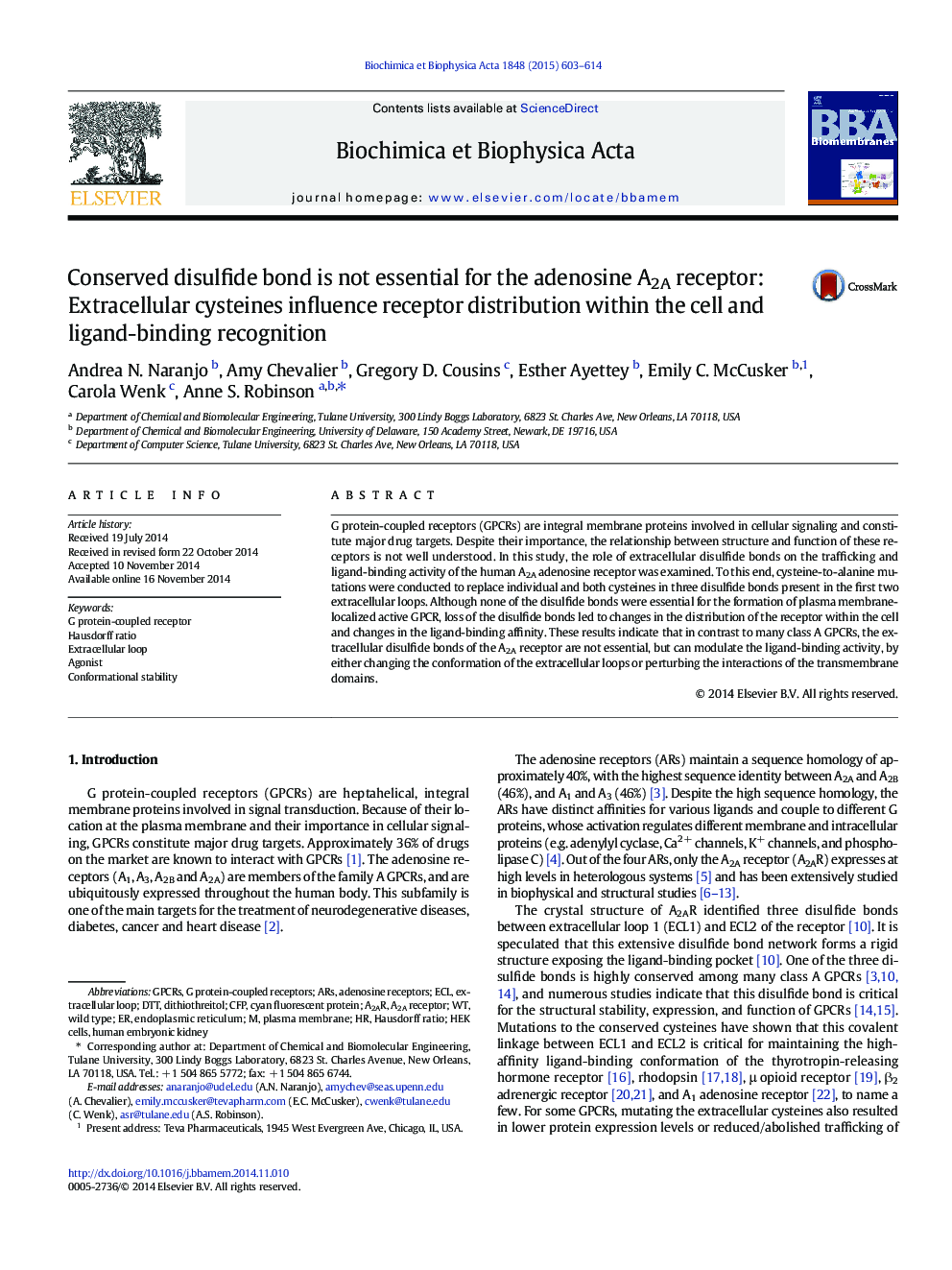 Conserved disulfide bond is not essential for the adenosine A2A receptor: Extracellular cysteines influence receptor distribution within the cell and ligand-binding recognition