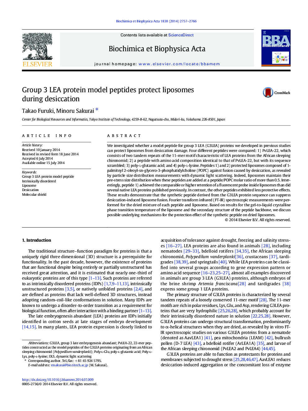 Group 3 LEA protein model peptides protect liposomes during desiccation