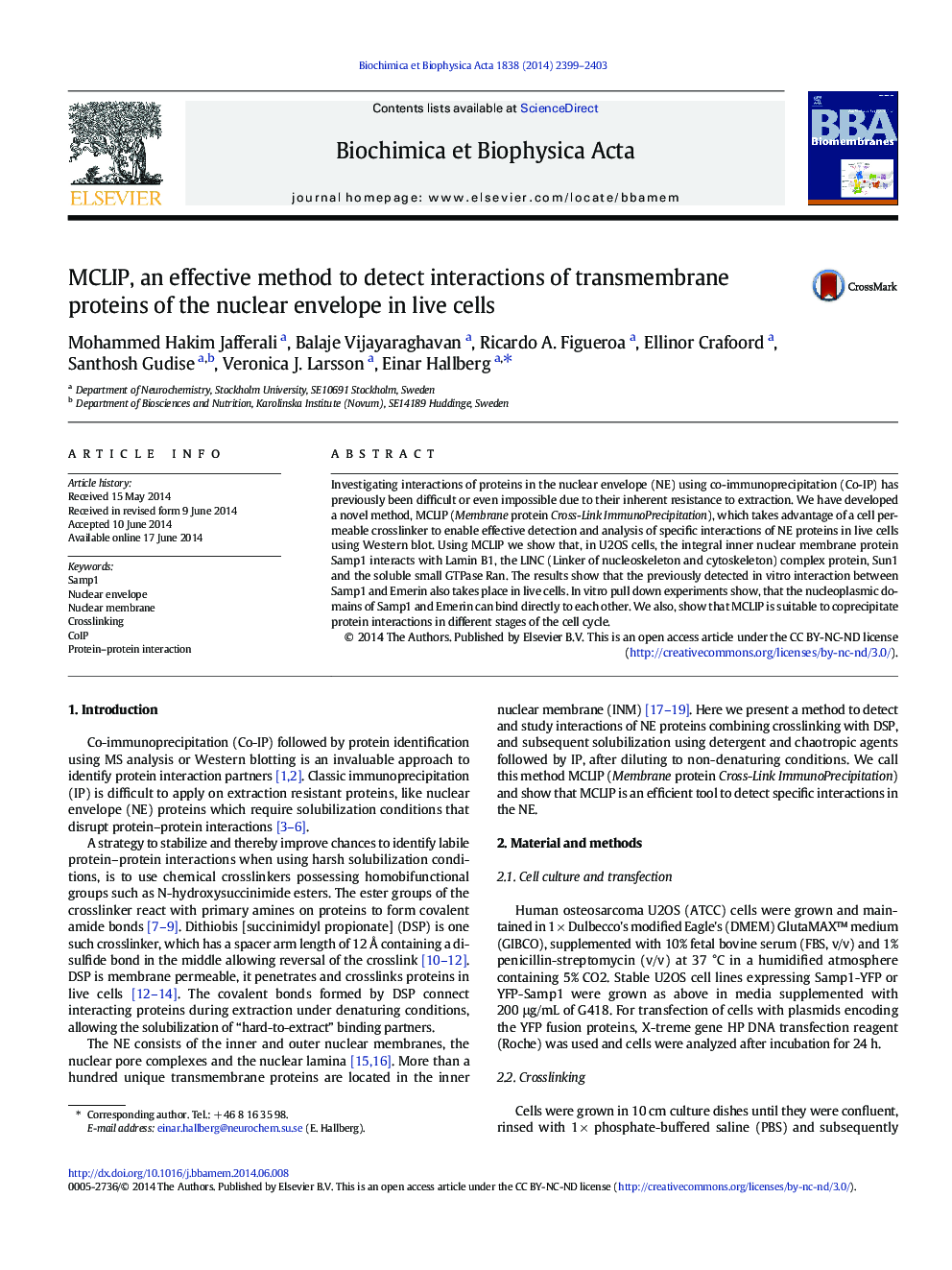 MCLIP, an effective method to detect interactions of transmembrane proteins of the nuclear envelope in live cells