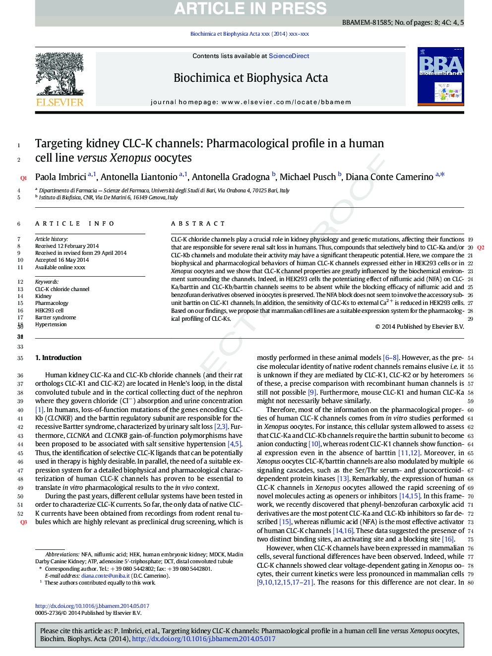 Targeting kidney CLC-K channels: Pharmacological profile in a human cell line versus Xenopus oocytes