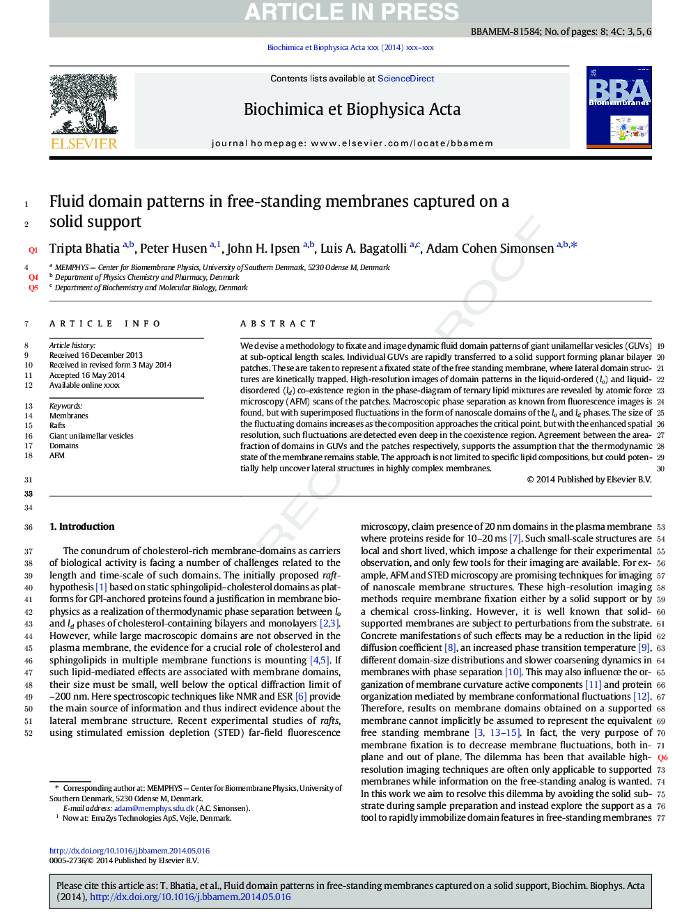 Fluid domain patterns in free-standing membranes captured on a solid support