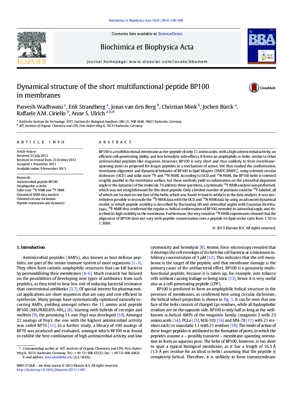 Dynamical structure of the short multifunctional peptide BP100 in membranes