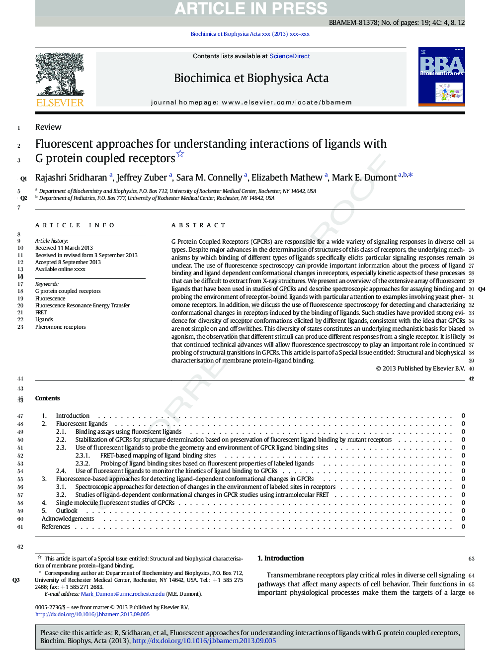 Fluorescent approaches for understanding interactions of ligands with G protein coupled receptors