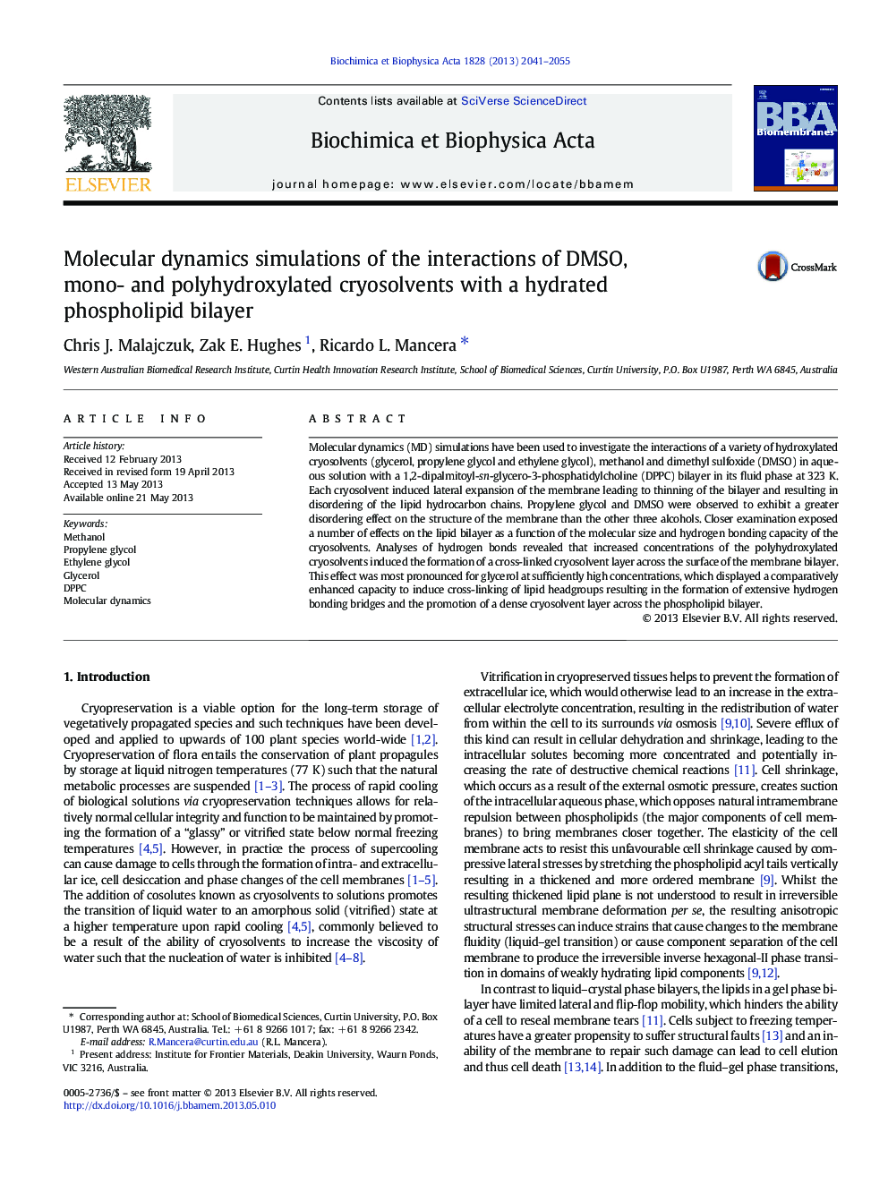 Molecular dynamics simulations of the interactions of DMSO, mono- and polyhydroxylated cryosolvents with a hydrated phospholipid bilayer