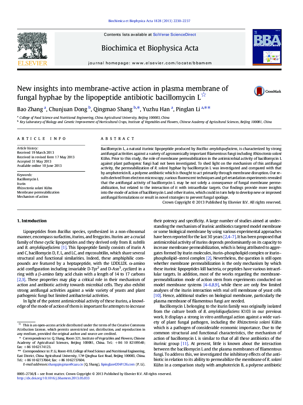 New insights into membrane-active action in plasma membrane of fungal hyphae by the lipopeptide antibiotic bacillomycin L