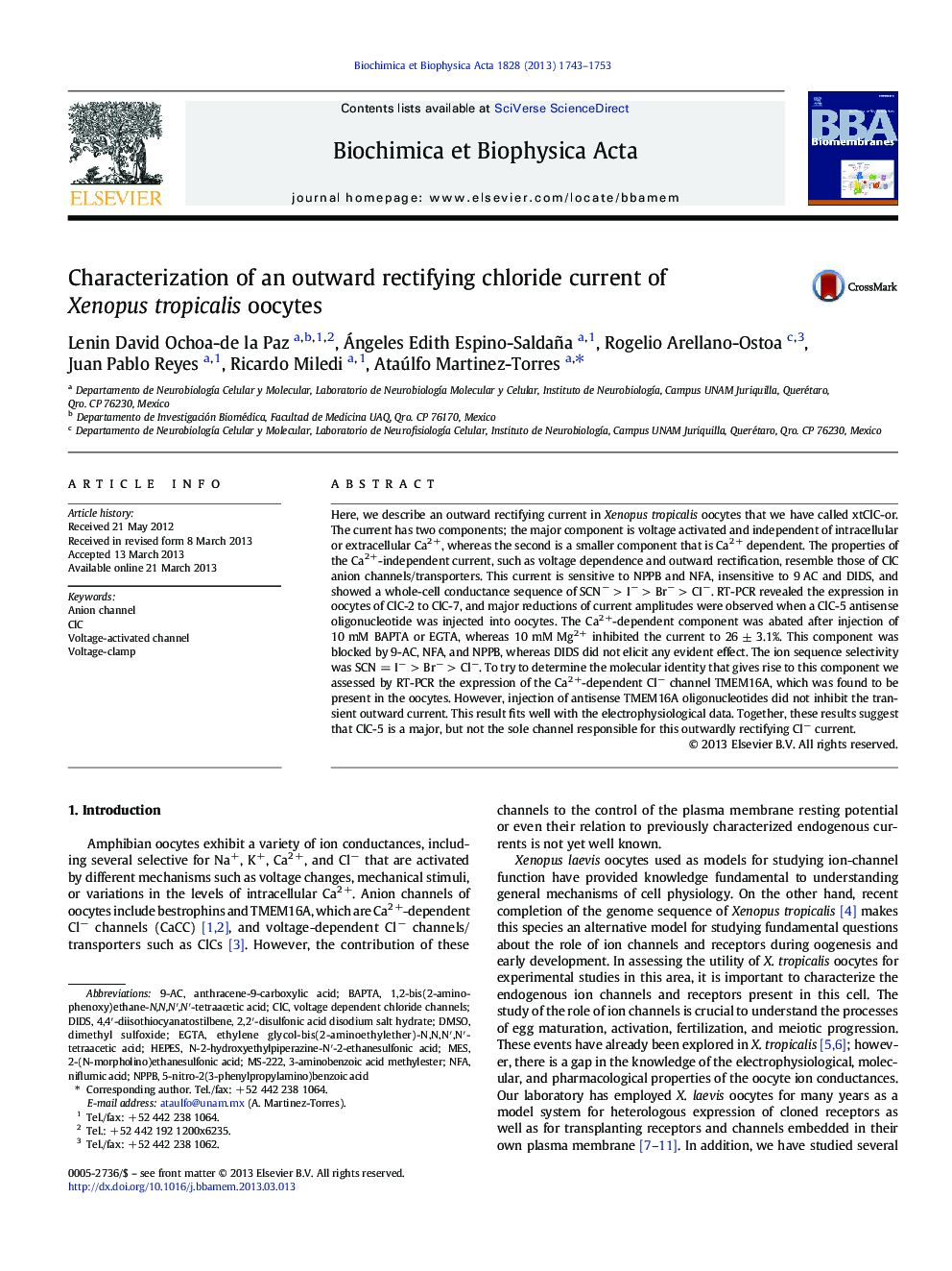 Characterization of an outward rectifying chloride current of Xenopus tropicalis oocytes