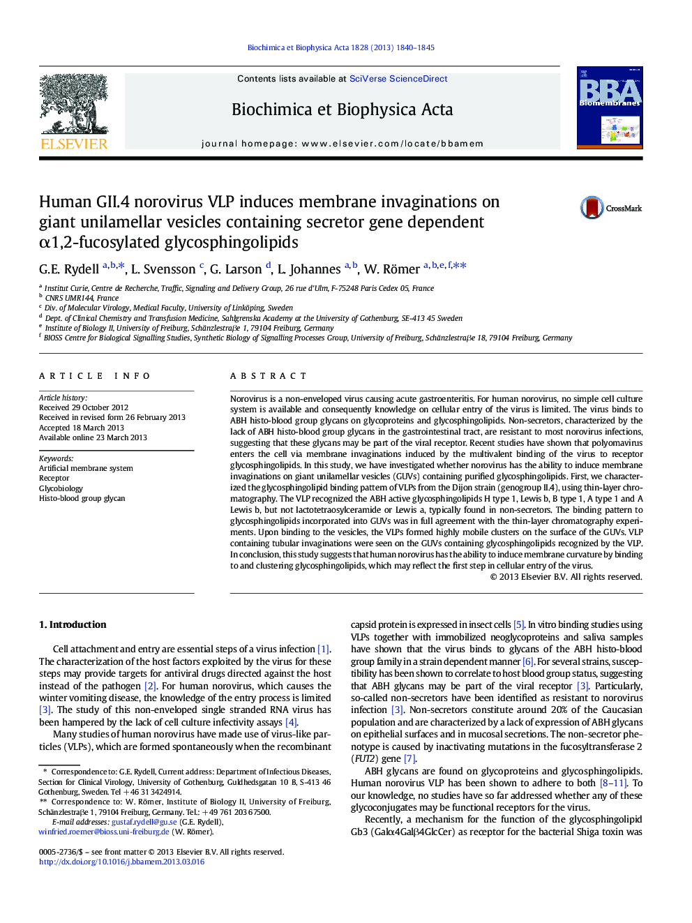 Human GII.4 norovirus VLP induces membrane invaginations on giant unilamellar vesicles containing secretor gene dependent Î±1,2-fucosylated glycosphingolipids