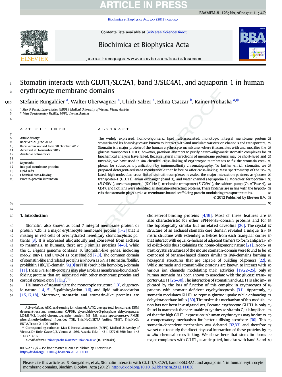 Stomatin interacts with GLUT1/SLC2A1, band 3/SLC4A1, and aquaporin-1 in human erythrocyte membrane domains