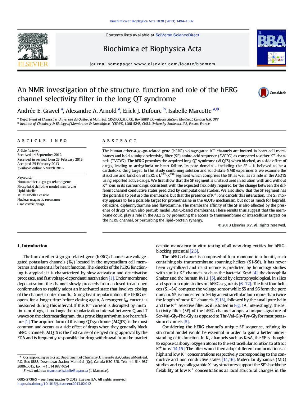 An NMR investigation of the structure, function and role of the hERG channel selectivity filter in the long QT syndrome