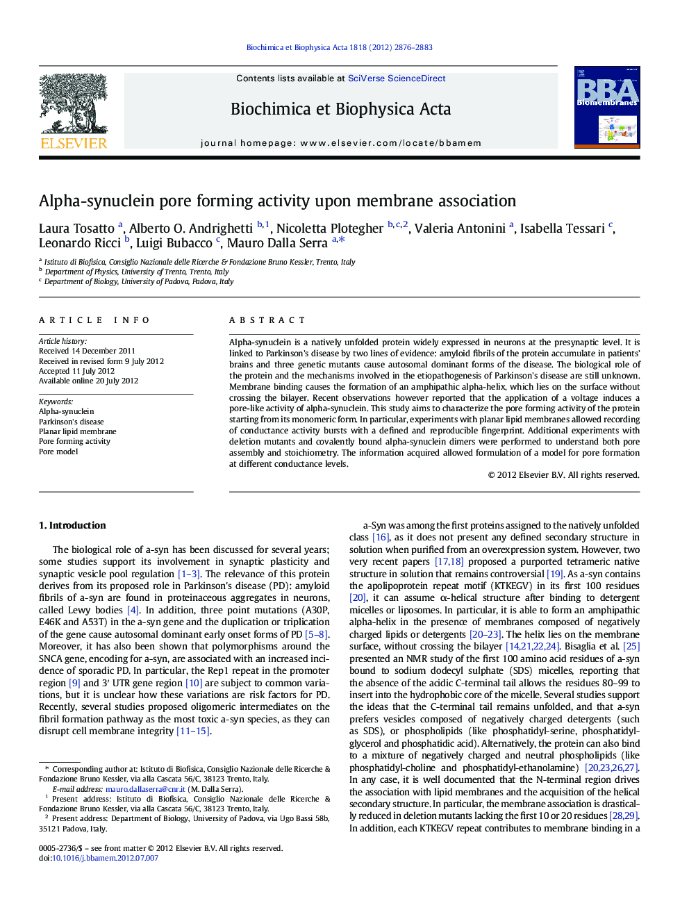 Alpha-synuclein pore forming activity upon membrane association