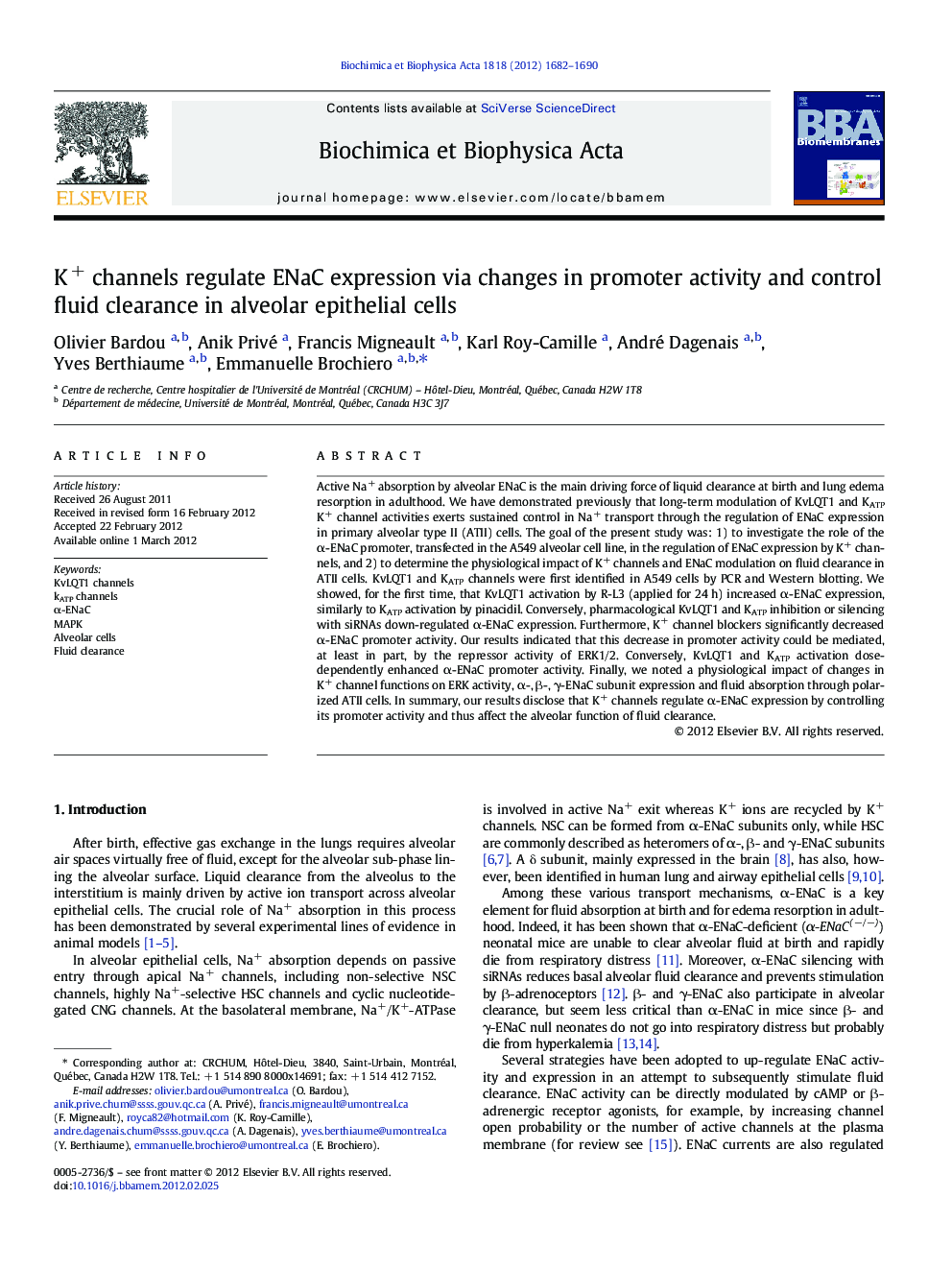 K+ channels regulate ENaC expression via changes in promoter activity and control fluid clearance in alveolar epithelial cells