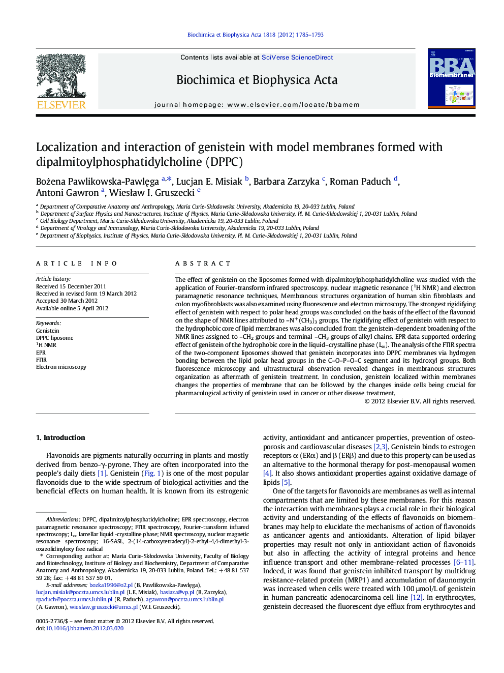 Localization and interaction of genistein with model membranes formed with dipalmitoylphosphatidylcholine (DPPC)