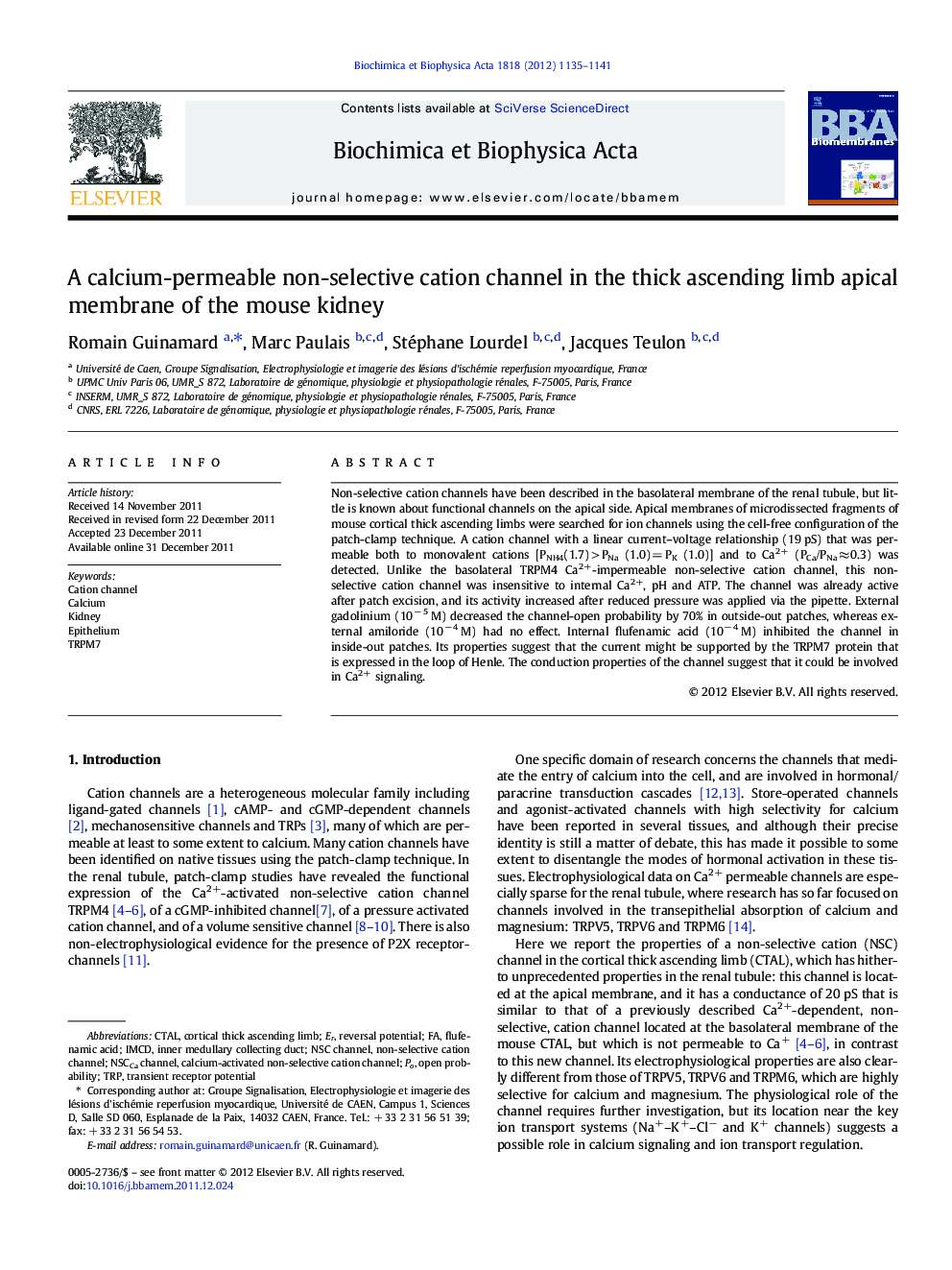 A calcium-permeable non-selective cation channel in the thick ascending limb apical membrane of the mouse kidney