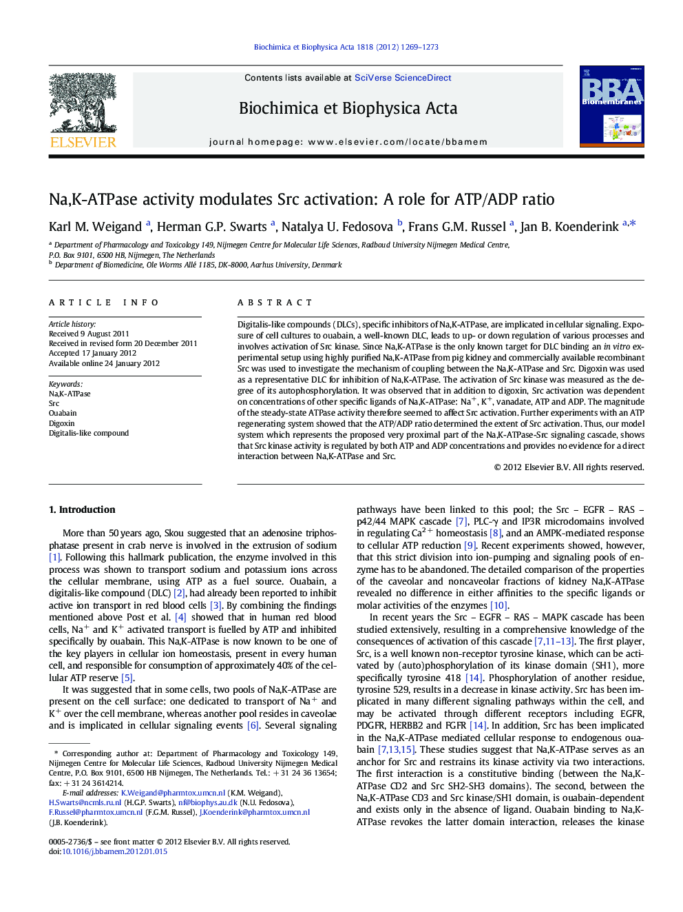 عکس صفحه اول مقاله: Na,K-ATPase activity modulates Src activation: A role for ATP/ADP ratio Na,K-ATPase activity modulates Src activation: A role for ATP/ADP ratio
