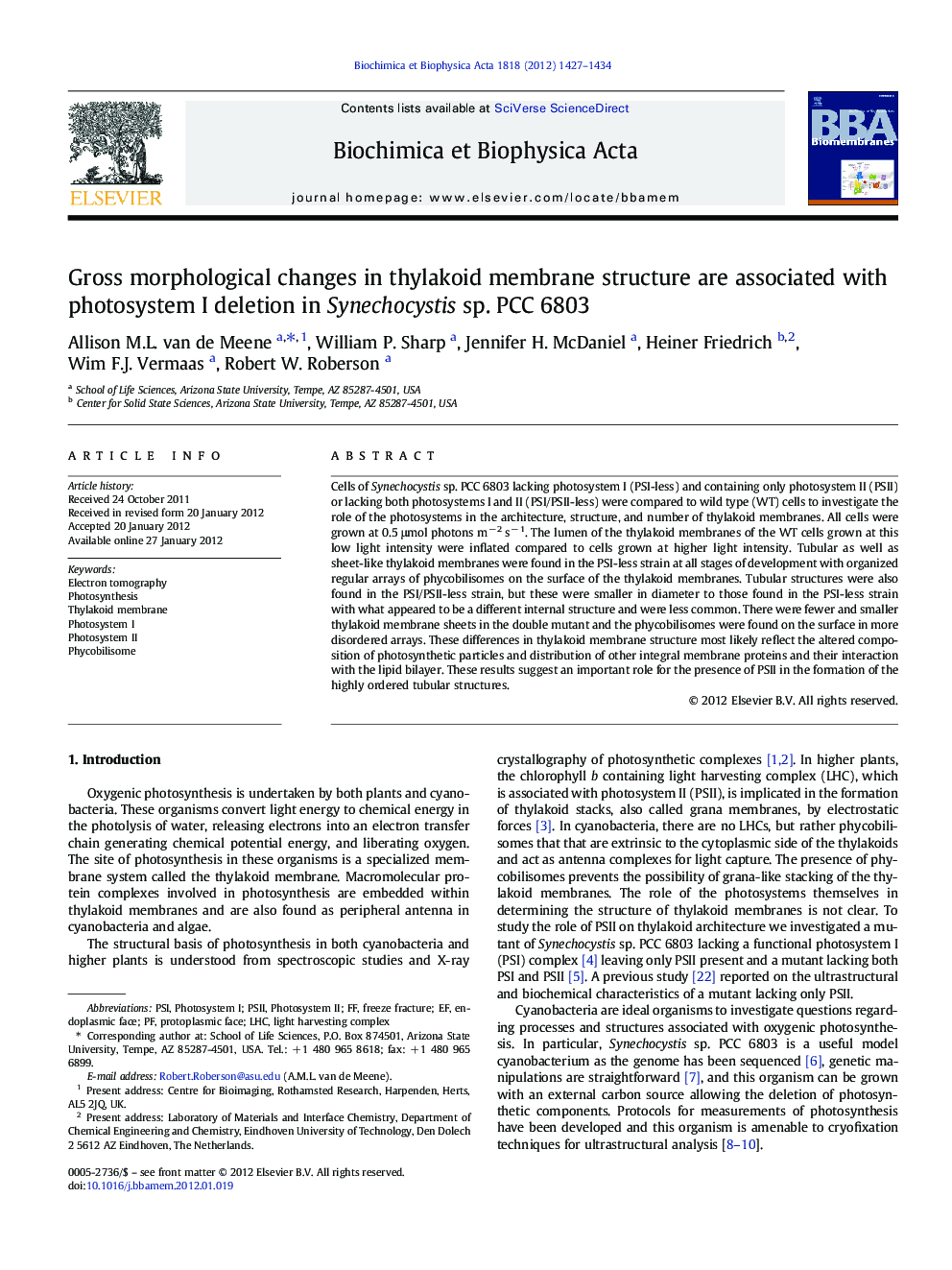 Gross morphological changes in thylakoid membrane structure are associated with photosystem I deletion in Synechocystis sp. PCC 6803