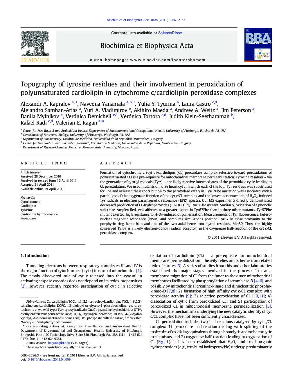 Topography of tyrosine residues and their involvement in peroxidation of polyunsaturated cardiolipin in cytochrome c/cardiolipin peroxidase complexes