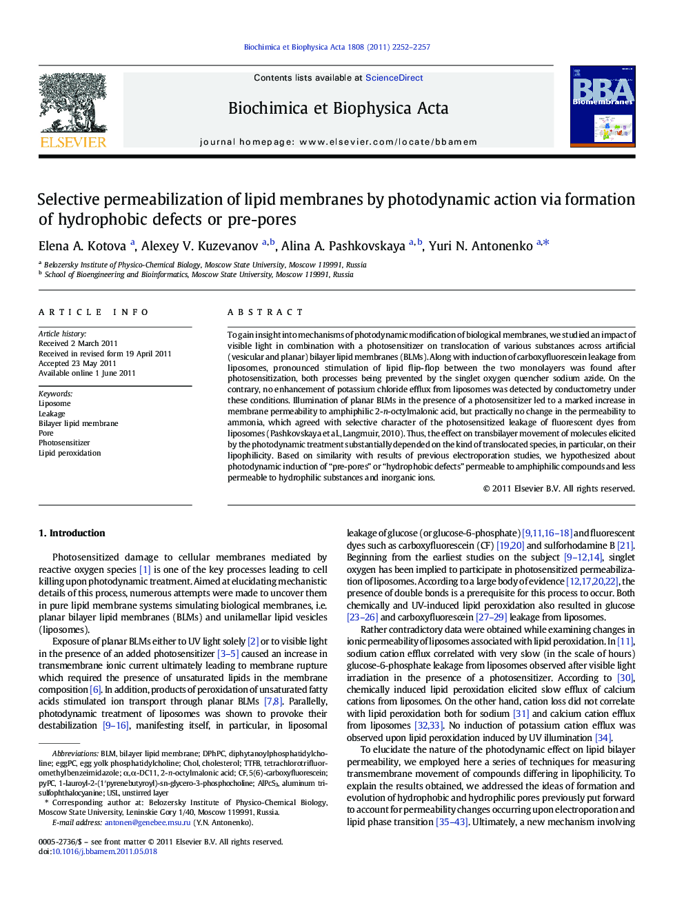 Selective permeabilization of lipid membranes by photodynamic action via formation of hydrophobic defects or pre-pores