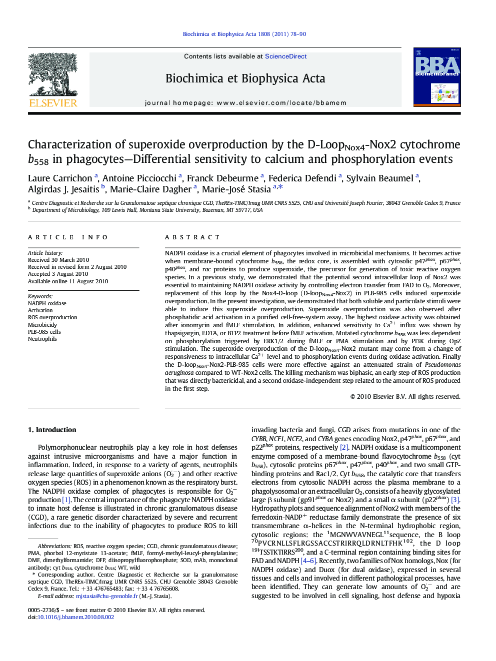 Characterization of superoxide overproduction by the D-LoopNox4-Nox2 cytochrome b558 in phagocytes-Differential sensitivity to calcium and phosphorylation events