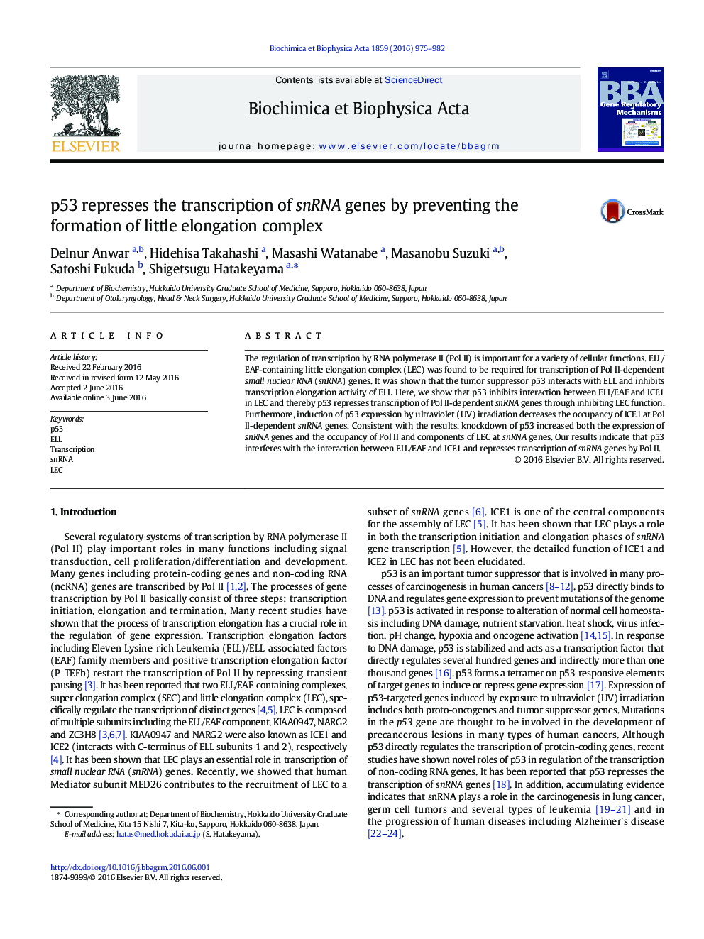 p53 represses the transcription of snRNA genes by preventing the formation of little elongation complex