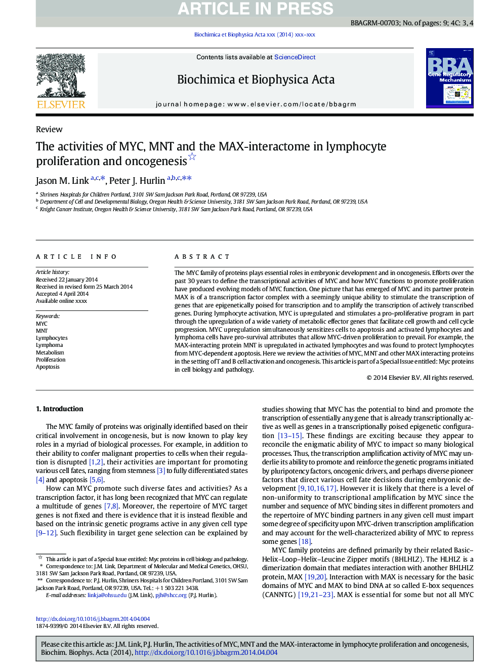 The activities of MYC, MNT and the MAX-interactome in lymphocyte proliferation and oncogenesis