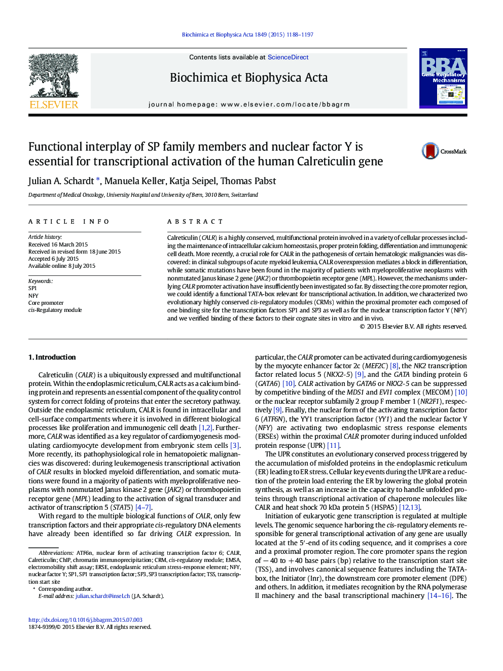 Functional interplay of SP family members and nuclear factor Y is essential for transcriptional activation of the human Calreticulin gene