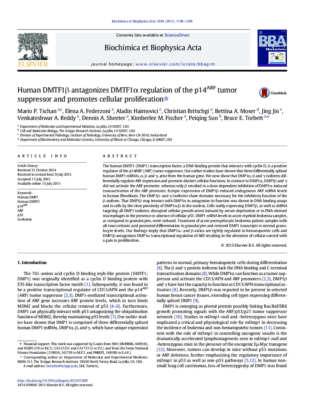 Human DMTF1Î² antagonizes DMTF1Î± regulation of the p14ARF tumor suppressor and promotes cellular proliferation