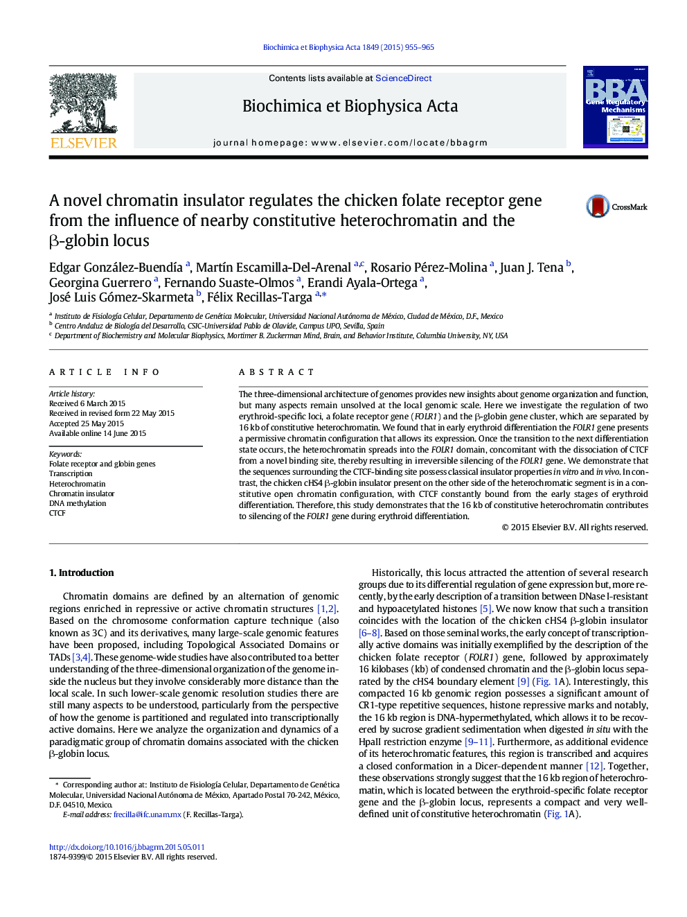 A novel chromatin insulator regulates the chicken folate receptor gene from the influence of nearby constitutive heterochromatin and the Î²-globin locus