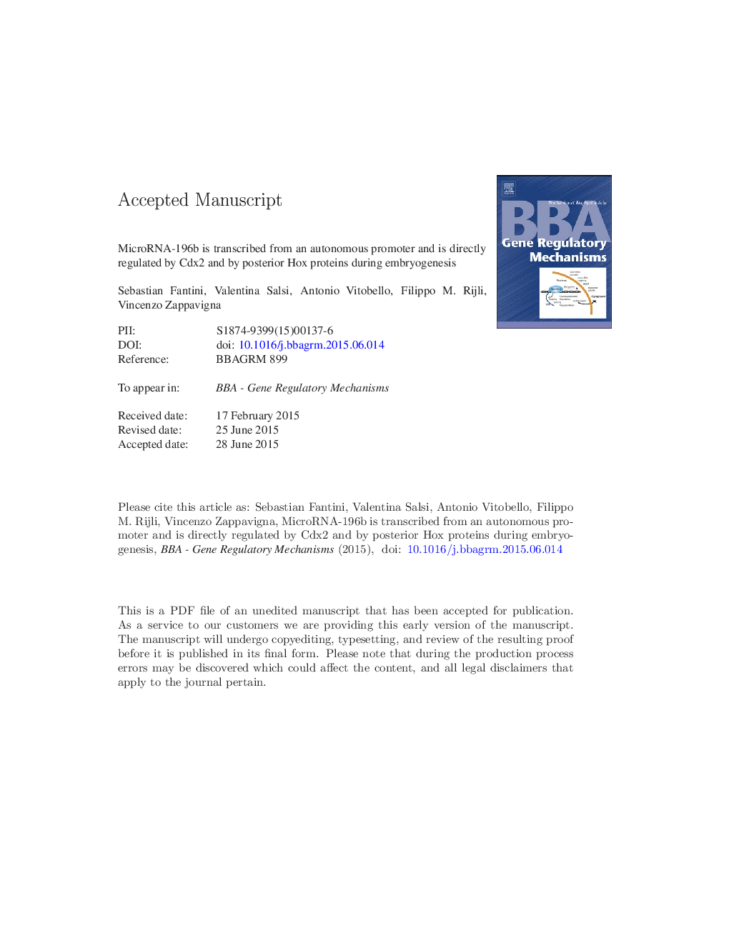 MicroRNA-196b is transcribed from an autonomous promoter and is directly regulated by Cdx2 and by posterior Hox proteins during embryogenesis