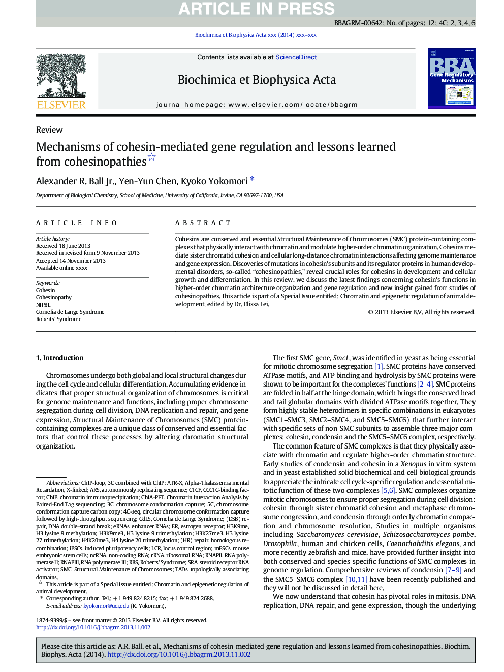 Mechanisms of cohesin-mediated gene regulation and lessons learned from cohesinopathies