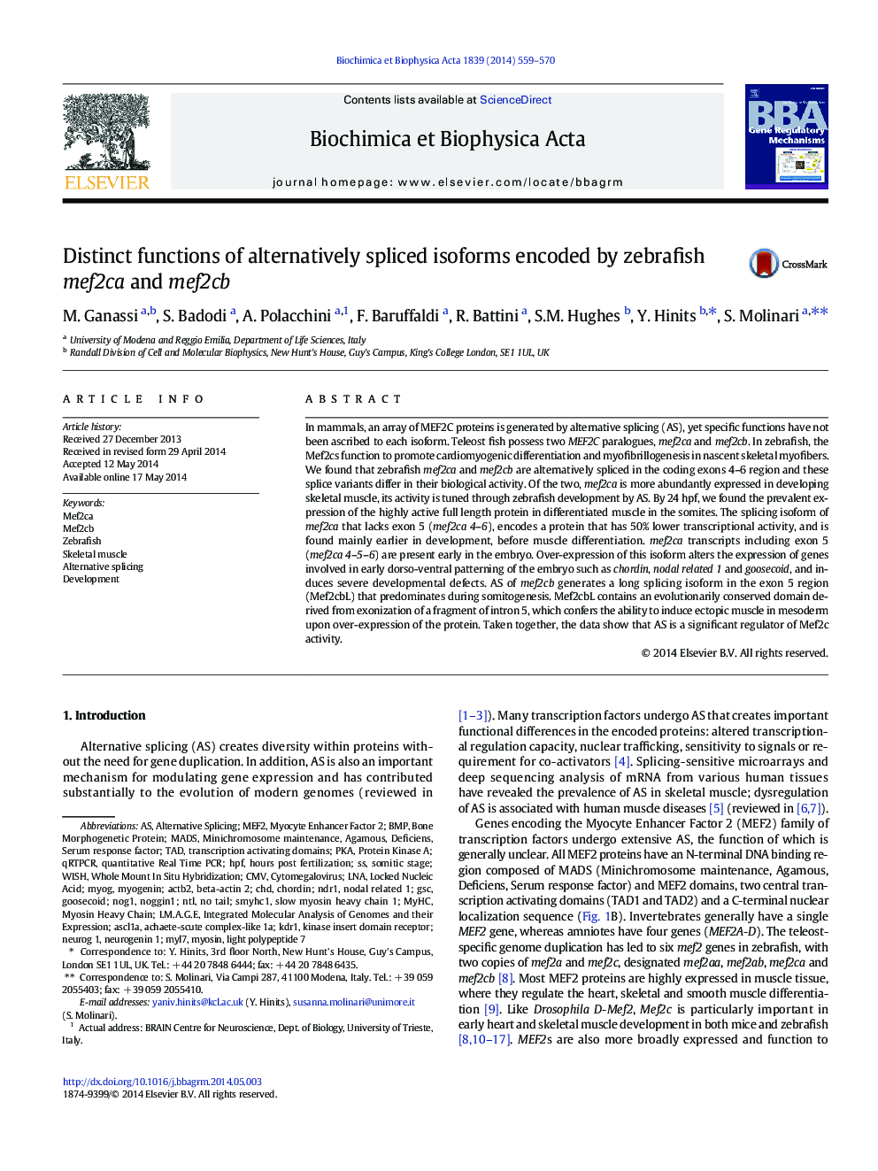 Distinct functions of alternatively spliced isoforms encoded by zebrafish mef2ca and mef2cb