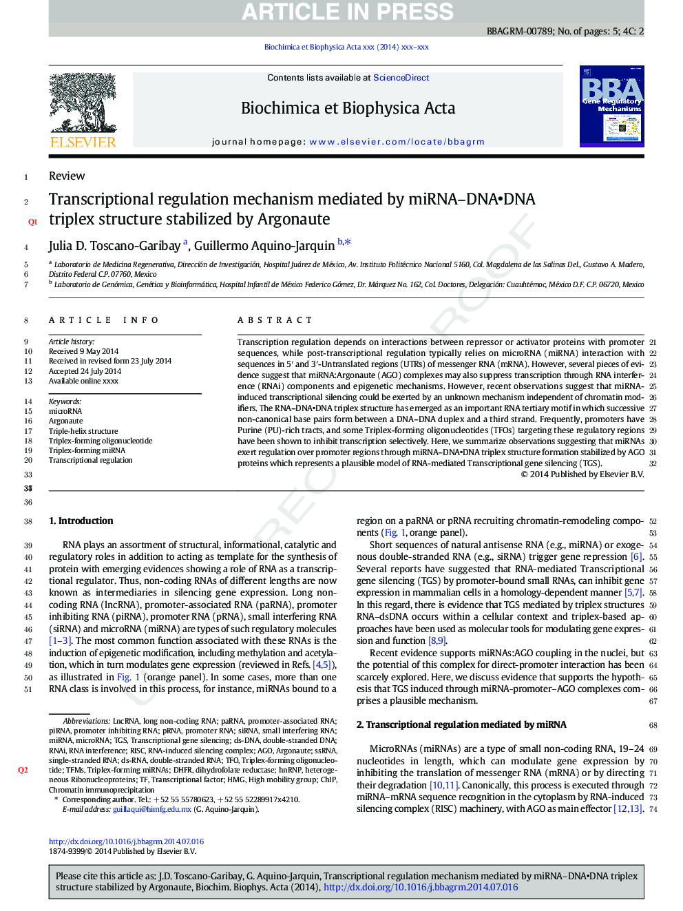 Transcriptional regulation mechanism mediated by miRNA-DNAâ¢DNA triplex structure stabilized by Argonaute